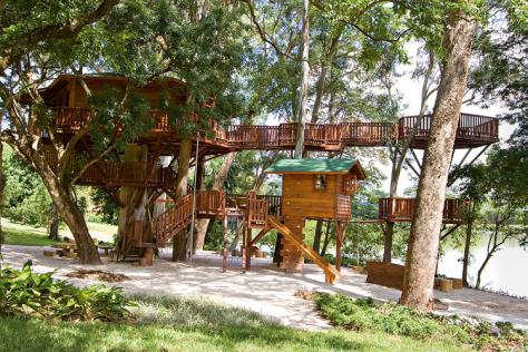 Photo From: http://www.fastcodesign.com/1671583/18-of-the-worlds-most-amazing-tree-houses#11