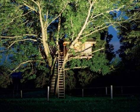Photo From: http://www.shelterness.com/15-very-cool-treehouse-designs/pictures/630/